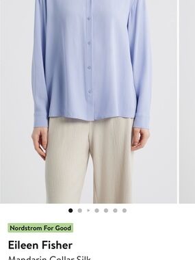 Eileen Fisher Pale Blue Long-Sleeve Button-Down Silk Shirt